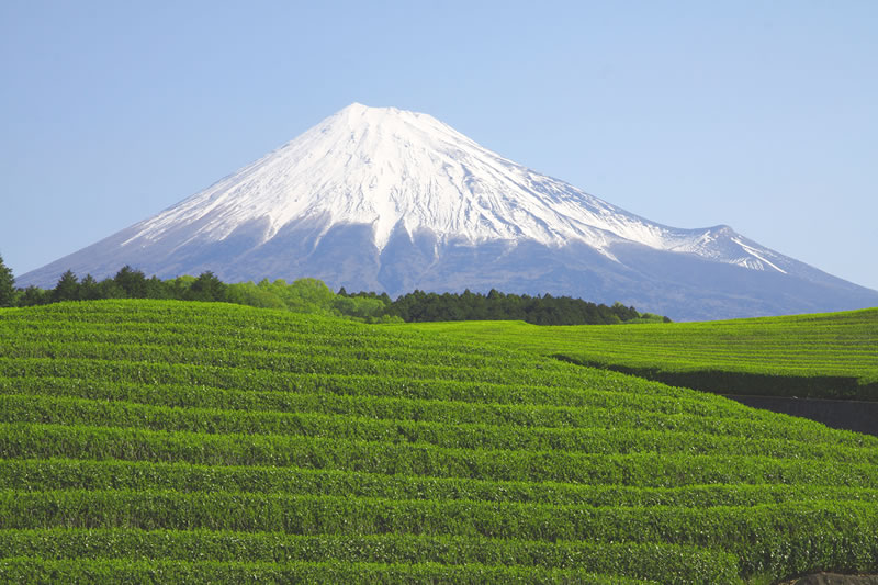 富士山麓の水イメージ画像